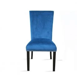 Camila Blue Velvet Dining Chair (Set of 2) by Steve Silver -Steve Silver Online Store blue steve silver dining chairs cm540sbn c3 1000