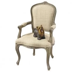 The Carlisle Louis XV Walnut Brown Arm Chair (Set of 2) by Design Toscano -Steve Silver Online Store walnut design toscano accent chairs af91945 44 1000