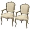The Carlisle Louis XV Walnut Brown Arm Chair (Set of 2) by Design Toscano -Steve Silver Online Store walnut design toscano accent chairs af91945 64 1000